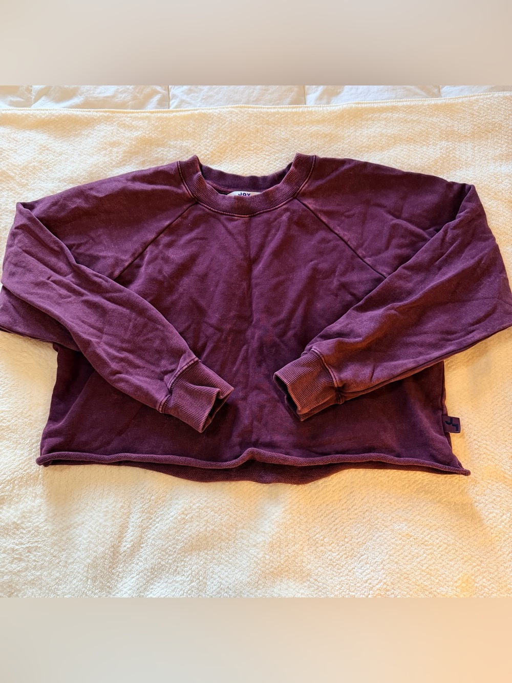 Plum Pullover Crewneck Sweatshirt